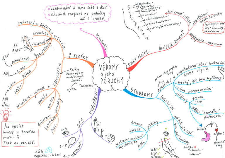 myšlenková mapa studium medicíny vědomí a jeho poruchy