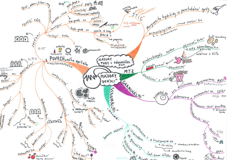 myšlenková mapa studium medicíny nádory ovaria