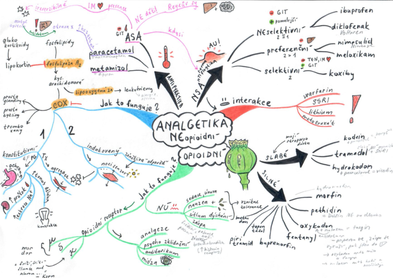 myšlenková mapa pro mediky analgetika