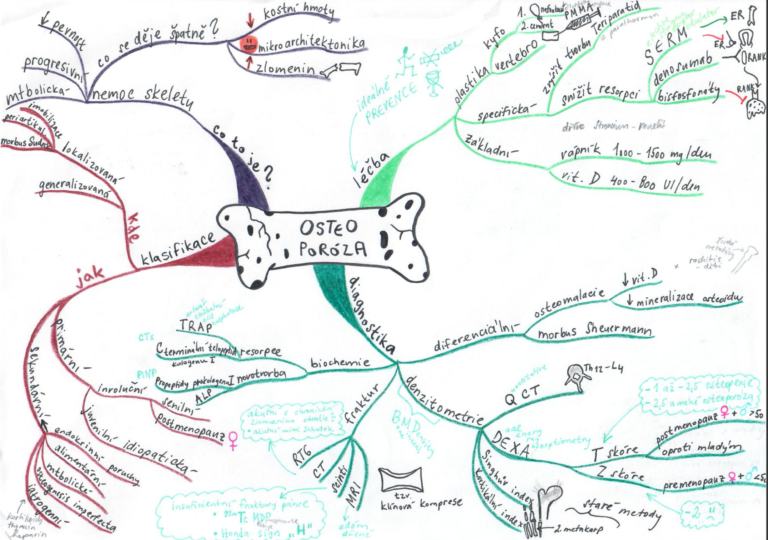 myšlenková mapa studium medicíny